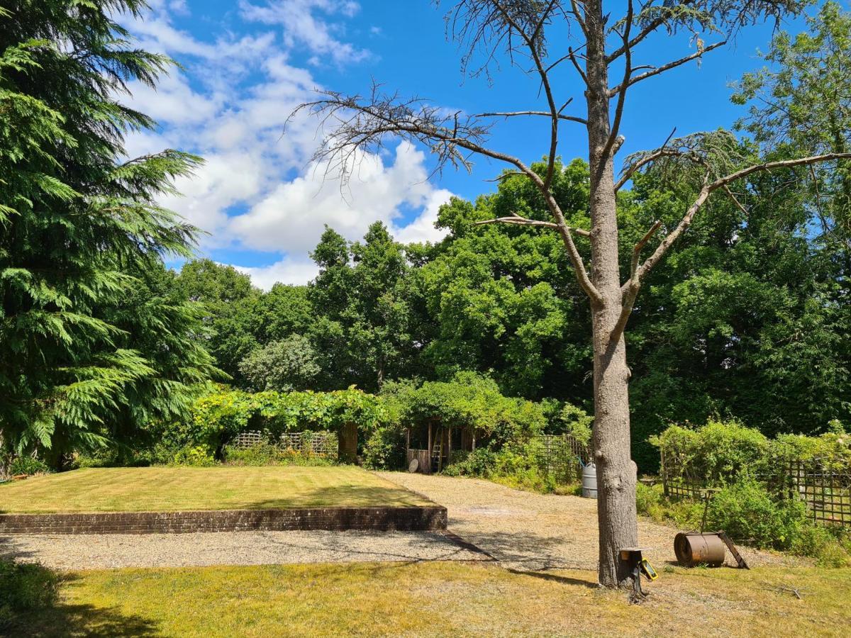 The Reading Whole Apartment With Private Lake And Gardens ภายนอก รูปภาพ