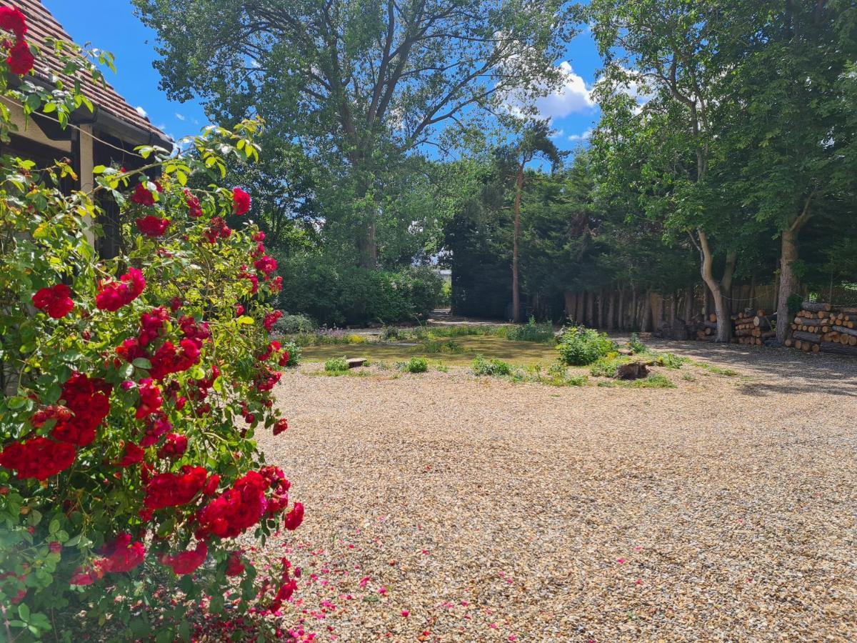 The Reading Whole Apartment With Private Lake And Gardens ภายนอก รูปภาพ